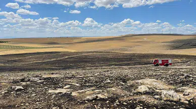 Malatya'da yangın; 40 dönüm arpa kül oldu