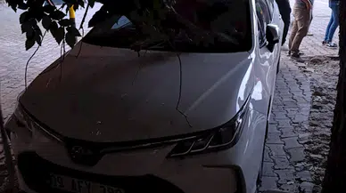 Mardin ve Batman’da kuvvetli fırtınada ağaçlar devrildi; o anlar kamerada (2)