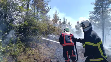 Tokat'ta ormanlık alanda çıkan yangın kontrol altına alınmaya çalışılıyor