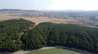 Edirne'de ormanlara girişler 15 Ekim'e kadar yasaklandı