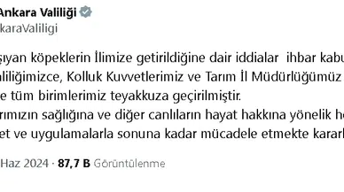 Ankara Valiliği, hasta köpeklerin kente getirildiği iddiası üzerine harekete geçti 