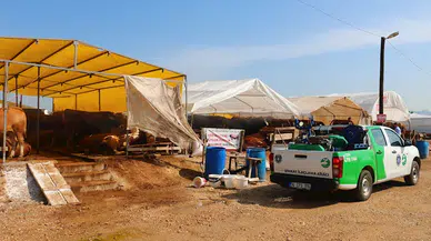 Bursa Büyükşehir Belediyesi Kurban Bayramı’na hazır