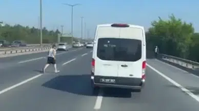 İstanbul- Beykoz TEM Otoyolu'nda sahibinden kaçan koyun trafiği birbirine kattı