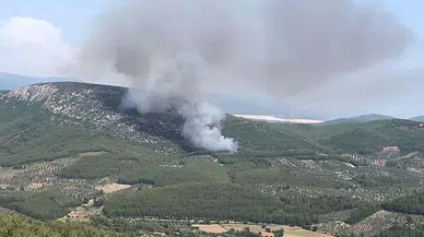 Muğla Valiliği'nden orman yangını uyarısı