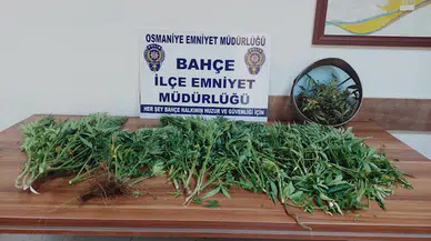 Osmaniye’de uyuşturucu operasyonuna 1 gözaltı