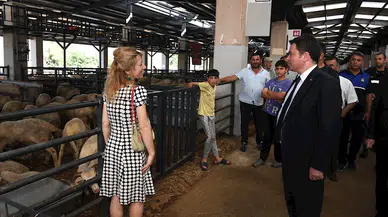 Osmangazi Belediye Başkanı Aydın’dan kurban pazarına ziyaret