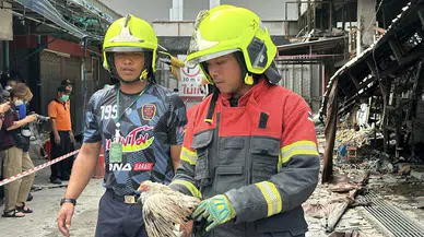 Tayland’da evcil hayvan pazarında yangın: Binlerce hayvan telef oldu