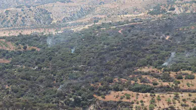 Gaziantep'te fıstık ve zeytin ağaçları bulunan arazide yangın; 6 saatte söndürüldü