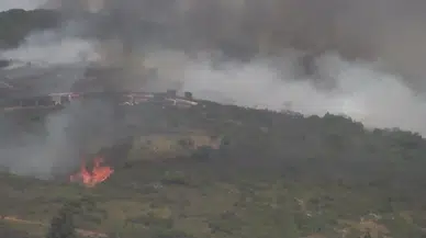İstanbul - Tuzla Piyade Okulu'nda çalılık alanda çıkan yangın söndürüldü 