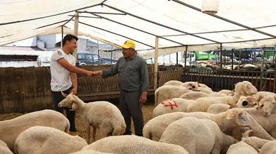 Bornova'da bayram tedbirleri tamam