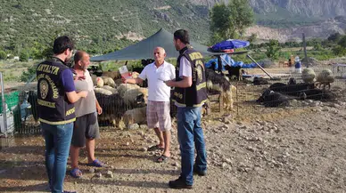 Kurban pazarlarında hırsızlık ve yankesicilik olaylarına dikkat