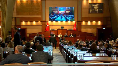 İstanbul - İBB Meclisi'nde sokak köpekleri tartışıldı