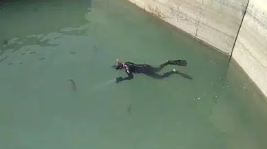 Batman'da kayıp çoban, 54 kilometrelik alanda 81 kişiyle aranıyor