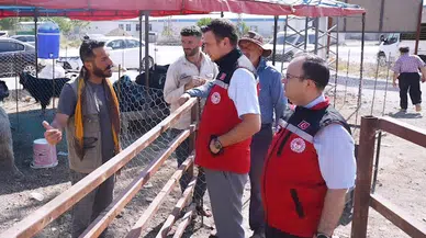 Osmaniye’de, Kurban öncesi hayvan sağlığı denetimi