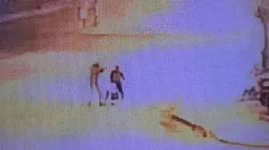 Otomobil bayisine Kalaşnikoflu saldırıda 2 tahliye