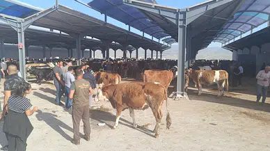 Niğde'de kurban pazarları doldu