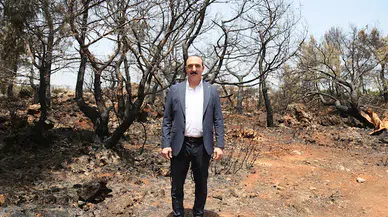 Başkan Kotan'dan 'yanan alan yeniden ağaçlandırılsın' girişimi