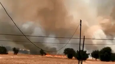 Burdur'da iki noktadaki yangında 1000 dönüm arazi yandı; duman nedeniyle yol ulaşıma kapandı