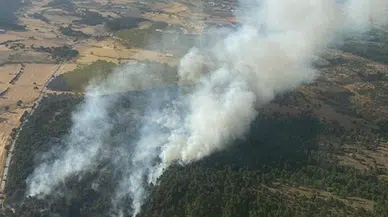Çanakkale'deki orman yangınında 5 hektar alan zarar gördü  