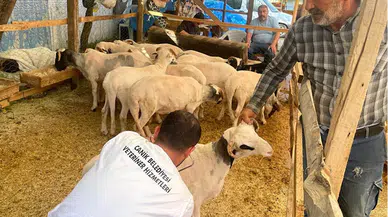 Canik Belediyesi kurban pazarında denetim yaptı