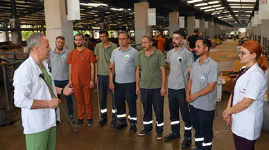 Osmangazi Belediyesi’nin Kurban Yakalama Timi göreve hazır