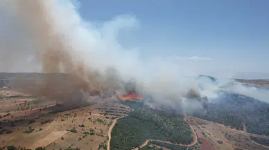 Manisa'da orman yangını/Ek Fotoğraflar