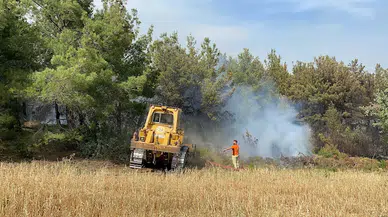 Çanakkale'de orman yangını; bu kez de Ezine'de çıktı (3)