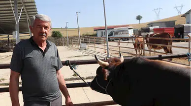 Havza Ziraat Odası Başkanı Genç'ten damızlıkların kurbanlık yapılmaması uyarısı