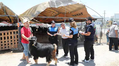 Kurban satıcılarına sahtekarlık uyarısı 