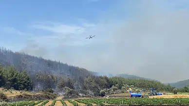 Çanakkale'de orman yangını/Ek Fotoğraflar