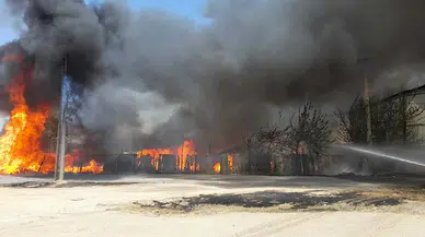 İzmir'de ot yangını fabrikaya sıçradı