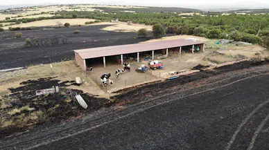 Çanakkale'de orman yangını; bu kez de Ezine'de çıktı (4)