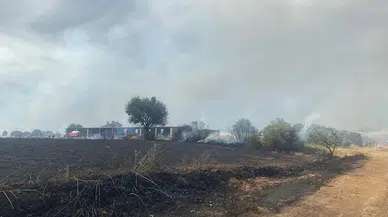 Çanakkale'de orman yangını; bu kez de Ezine'de çıktı/Ek fotoğraflar