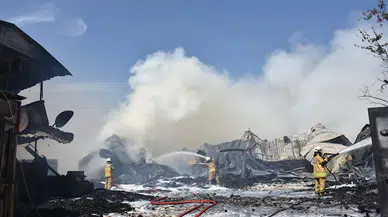 İzmir'de ot yangını fabrikaya sıçradı (2)