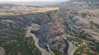 Kula'da arazide çıkan yangın ormanı yaktı; 10 hektar alan küle döndü 