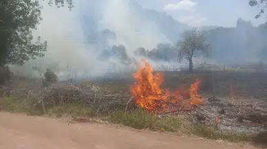 Orman yangını büyümeden söndürüldü 