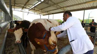 Bakan Yumaklı: 3 kesimhanenin onayı iptal edilerek faaliyeti sonlandırıldı