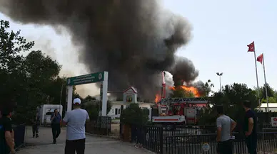 İzmir'de ot yangını fabrikaya sıçradı (3)