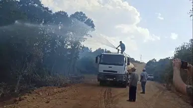 Edirne'de yangın; 90 dekar tarım ve mera alanı zarar gördü