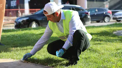 Bolu'da aralarında başkan yardımcısı ile il başkanlarının da olduğu 781 kişiye 'sigara izmariti' cezası