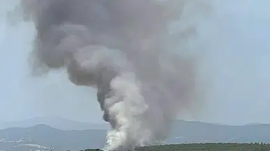 Çanakkale'de orman yangını; bu kez de Ezine'de çıktı (2)