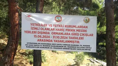 Osmaniye’de ormanlık alanlara girişler 31 Ekim’e kadar yasaklandı