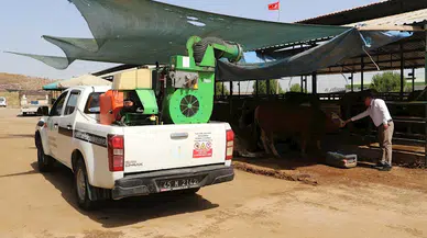 Kurban satış yerleri ve mezbahalarda ilaçlama çalışmaları tamamlandı