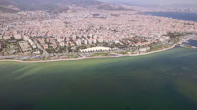 'Planktonların deniz kirliliği ile bir ilgisi yok'