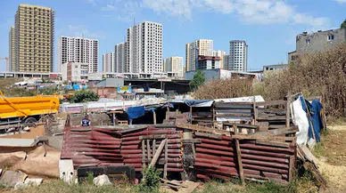 İstanbul - Avcılar’da Kurban Bayramı öncesi satış ve kesim noktalarında denetim
