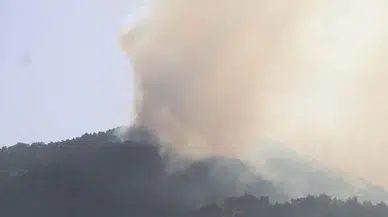 Denizli'de orman yangını (2)