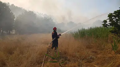 Mardin'in örtü yangınları; 25 hektarlık alan zarar gördü 