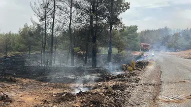 Muğla'da orman yangını; bu kez de Milas'ta çıktı (3)
