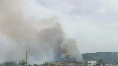 Aydın'da makilik yangını