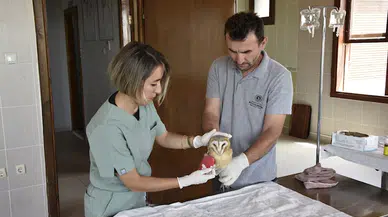 Yaralı kuşlara büyükşehir şefkati